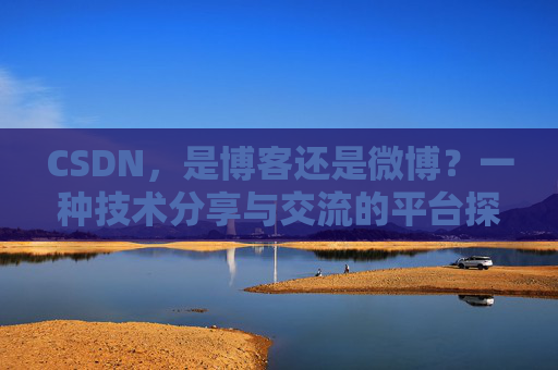 CSDN，是博客还是微博？一种技术分享与交流的平台探讨